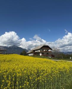 Apartments-Rooms Kocijancic 