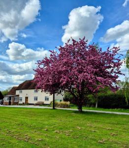 Secluded 16th Century Farmhouse with private grounds