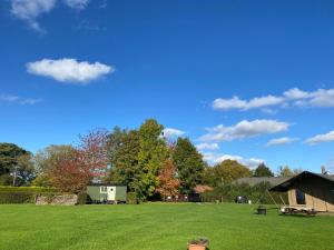 Dawn Chorus Holidays