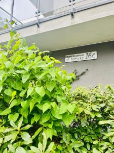 Apartament z ogródkiem