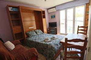 Appartements Studio 24 m2 le grand passage centre-ville terrasse climatisation parking : photos des chambres