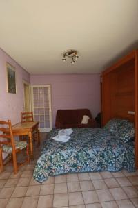 Appartements Studio 24 m2 le grand passage centre-ville terrasse climatisation parking : photos des chambres