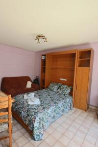 Appartements Studio 24 m2 le grand passage centre-ville terrasse climatisation parking : photos des chambres