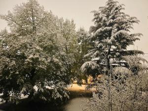 Appartements Design et calme au bord de l-eau : photos des chambres