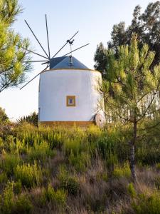 Delightful forest windmill, 10 min away from the beach