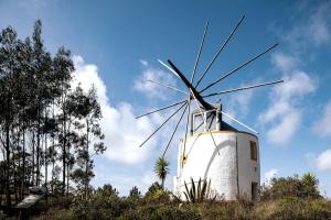 Delightful forest windmill, 10 min away from the beach