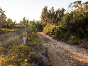 Delightful forest windmill, 10 min away from the beach