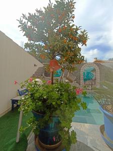 ENTRE TERRE et MER Côte dAzur VAR