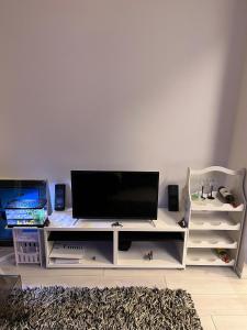 The sophisticated apartment