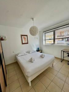 Appartements Grand appartement central - Propriano : Appartement 3 Chambres
