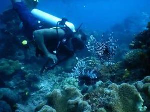 Parfrayhomesrajaampat