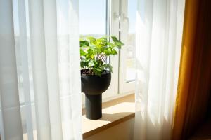 Lux Penthouse with sauna