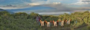 Pakulala Safari Camp - Ngorongoro