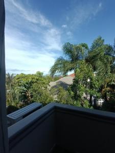 Blue Ocean - Dolphin unit