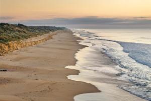 Honeysuckles Ultimate Beach Escape