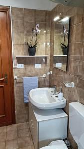 Domus Roma Apartment