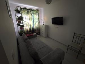 HANA Apartament