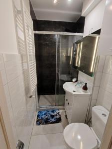 HANA Apartament