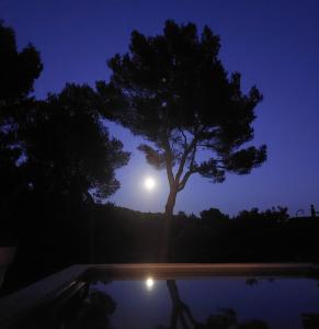 Villas La maison du Barroux avec vue, calme et piscine : photos des chambres