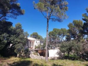 Villas La maison du Barroux avec vue, calme et piscine : photos des chambres