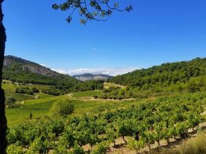 Villas La maison du Barroux avec vue, calme et piscine : photos des chambres