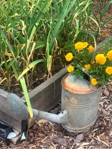 Mäekalda Guesthouse Garden Villa with private sauna