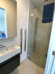 CBD New 2 Bed 2 Baths By Hagley Park With Parking