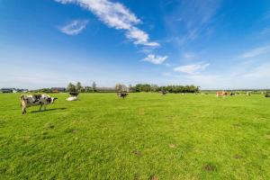 De Waard familietent Willemsduin