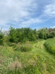 B&B / Chambres d'hotes La Colline aux Licornes : photos des chambres