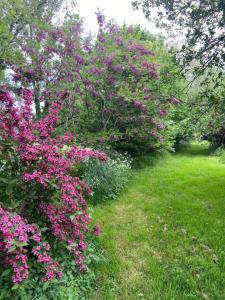 B&B / Chambres d'hotes La Colline aux Licornes : photos des chambres