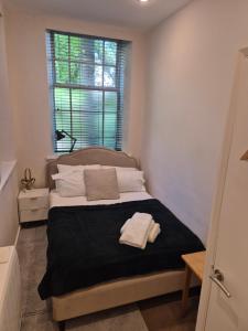 Delightful flat central Brighton