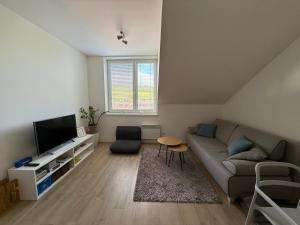 Rodinný mezonetový apartmán Větrák