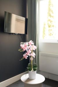 Appartements L-Ecrin de Jennesson - Studio 2 Pers - Nancy : photos des chambres
