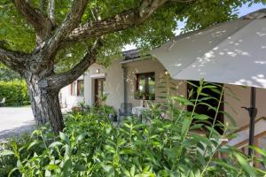 Apartments Beramska