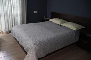 Deluxe Double or Twin Room room in Hotel Avramov