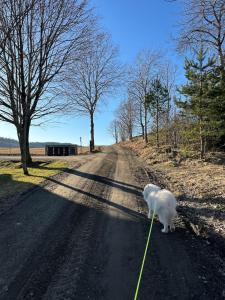 Melø Panorama design home with magical views