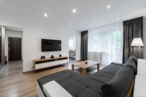 Spacious 1-bedroom Apartment