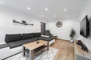 Spacious 1-bedroom Apartment