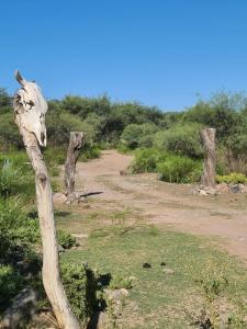 Cabañas Nido de Cóndores
