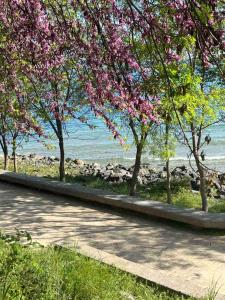 Тематичен Пентхаус Несебър България