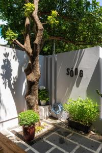 Peace by the sea I Tourist area I Garden Homestay