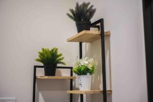 Arte Mont Kiara