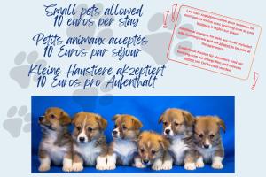 Appartements L-Echappee douce, central et lumineux : photos des chambres