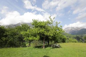 Thethi 360 grade - Camping & Rooms