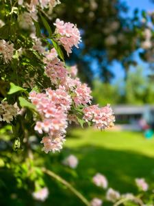 The Peaceful Haven Near Liseleje