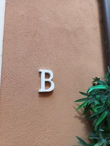 Dalmati House San Lorenzo