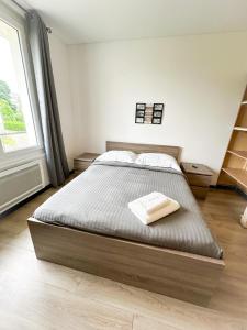 Appartements MikeS Amboise : photos des chambres