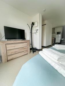 Appartements MikeS Amboise : photos des chambres