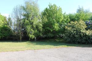 Cozy City Stay Steps from the Beach & Transit