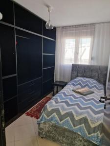 The Palm of Eden Synergy Durres